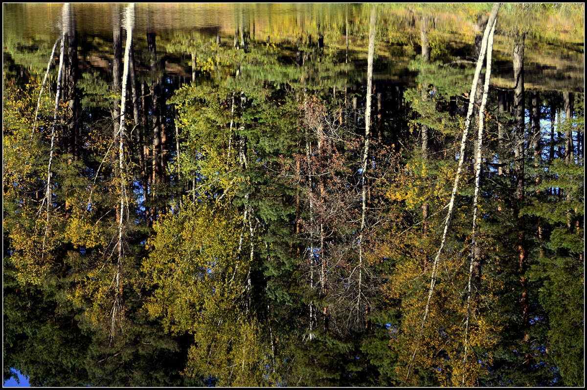 Осень наступила... - Aleksandr Gal