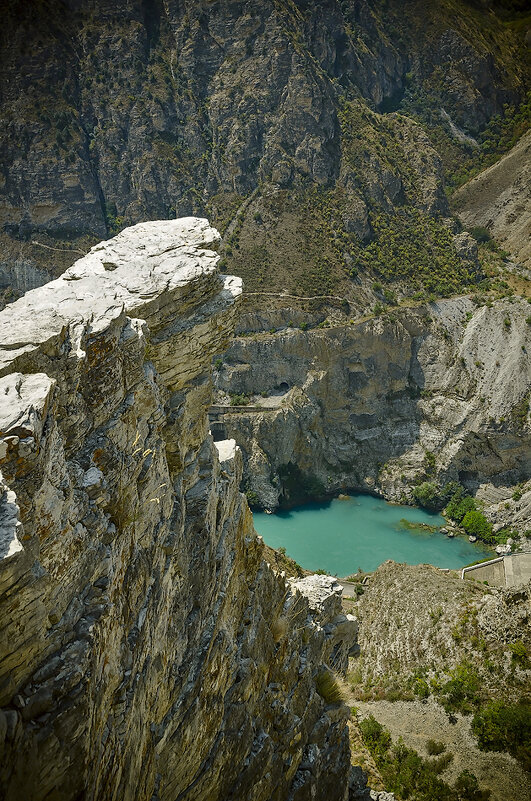Тёщин язык - Петр Фролов