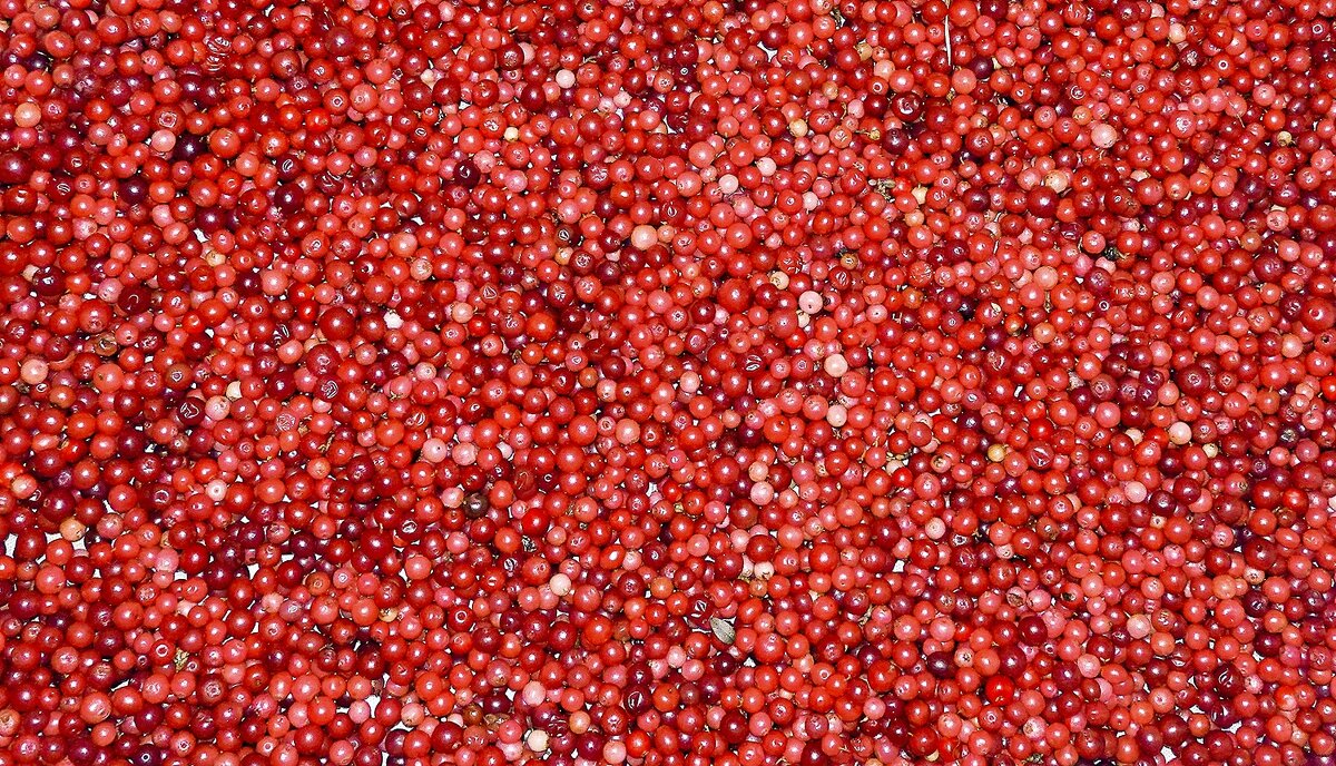 Брусничный - Валерий Иванович