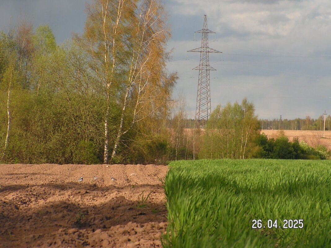 без названия - fogmeadowww m