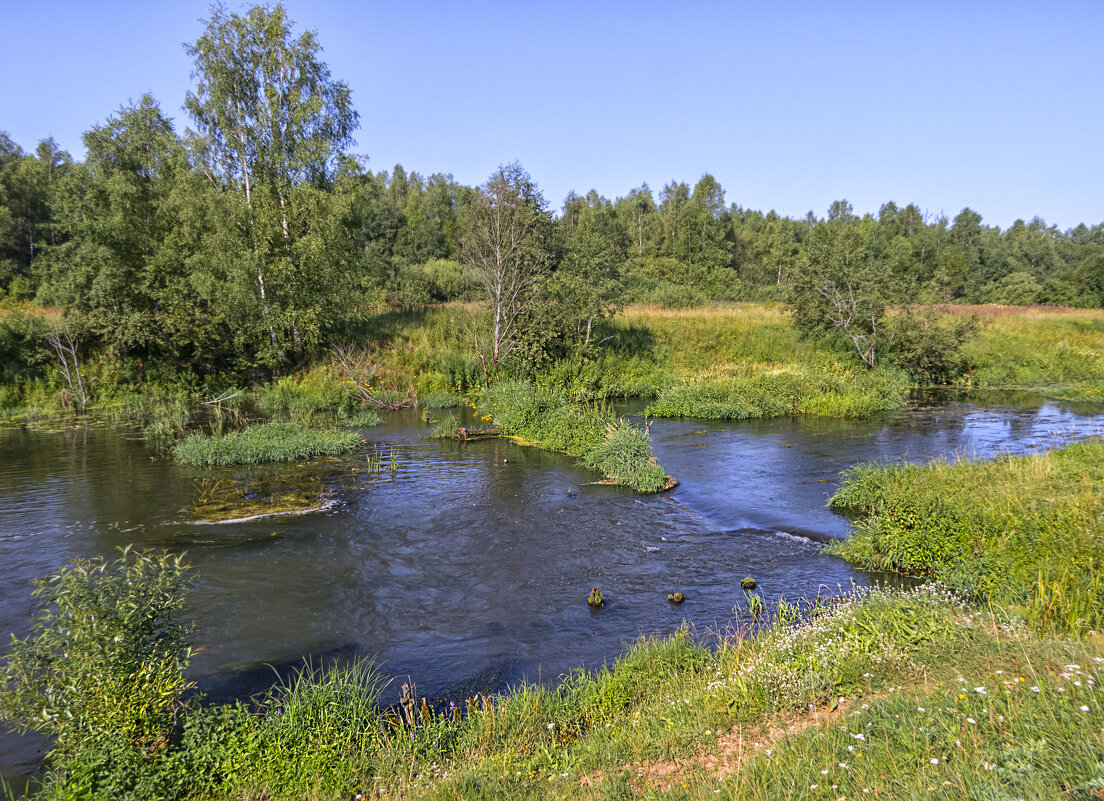 Речка Молокча - Сергей Цветков