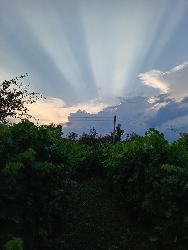 Да будет свет - Девяткин Юрий 