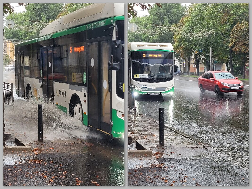 Дожди, дожди, доЖДИ... - Татьяна Машошина