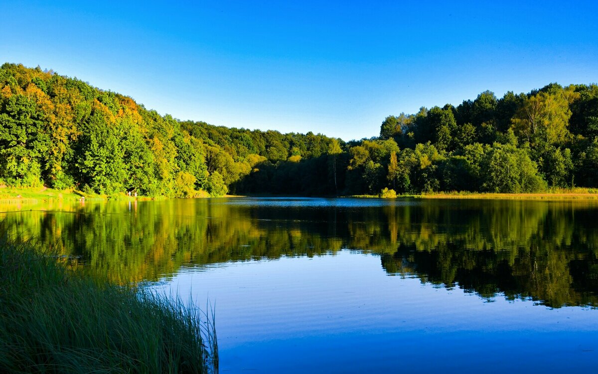 Осенний вечер на озере. - Милешкин Владимир Алексеевич 