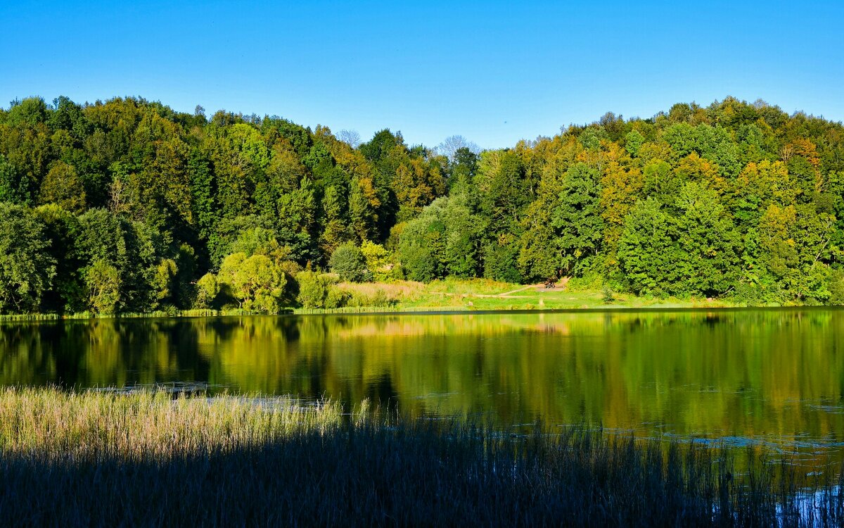 У осени своя красота. - Милешкин Владимир Алексеевич 