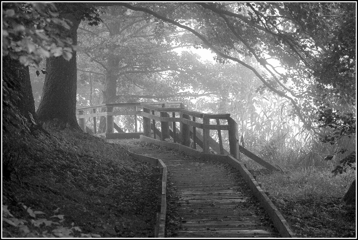 Утро - Aleksandr Gal