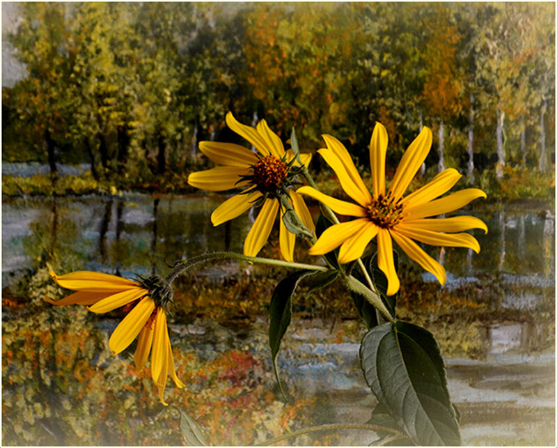 *** - Aleksandr Gal *** - Aleksandr Gal