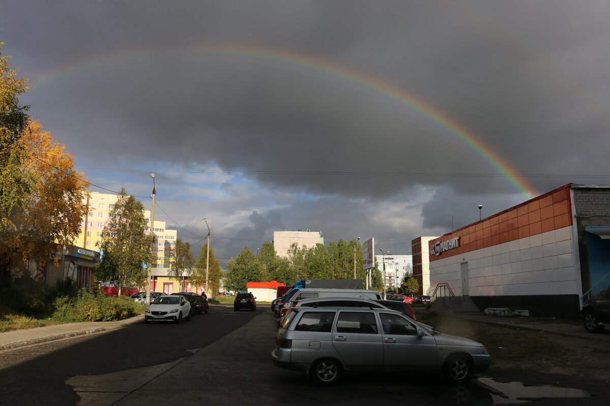 После дождя - Ольга После дождя - Ольга