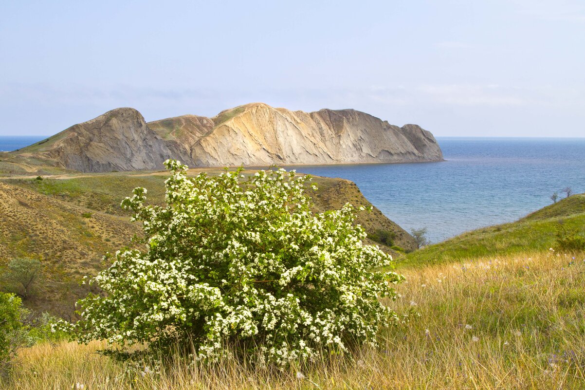 Весенний пейзаж - Геннадий Валеев