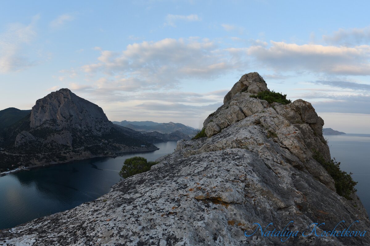 Природа Крыма - Amazing Cosmea