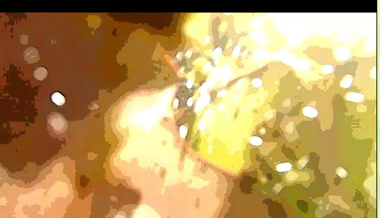 113 (54) - CLOSE WAYS ALL