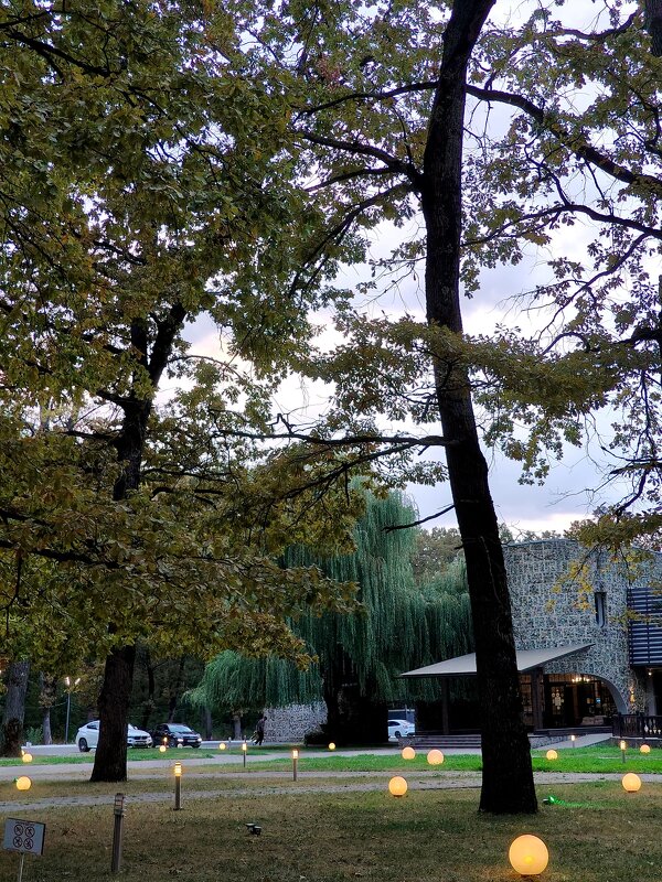 Небольшие сюжеты из вечерней прогулки за город... - tatyana 