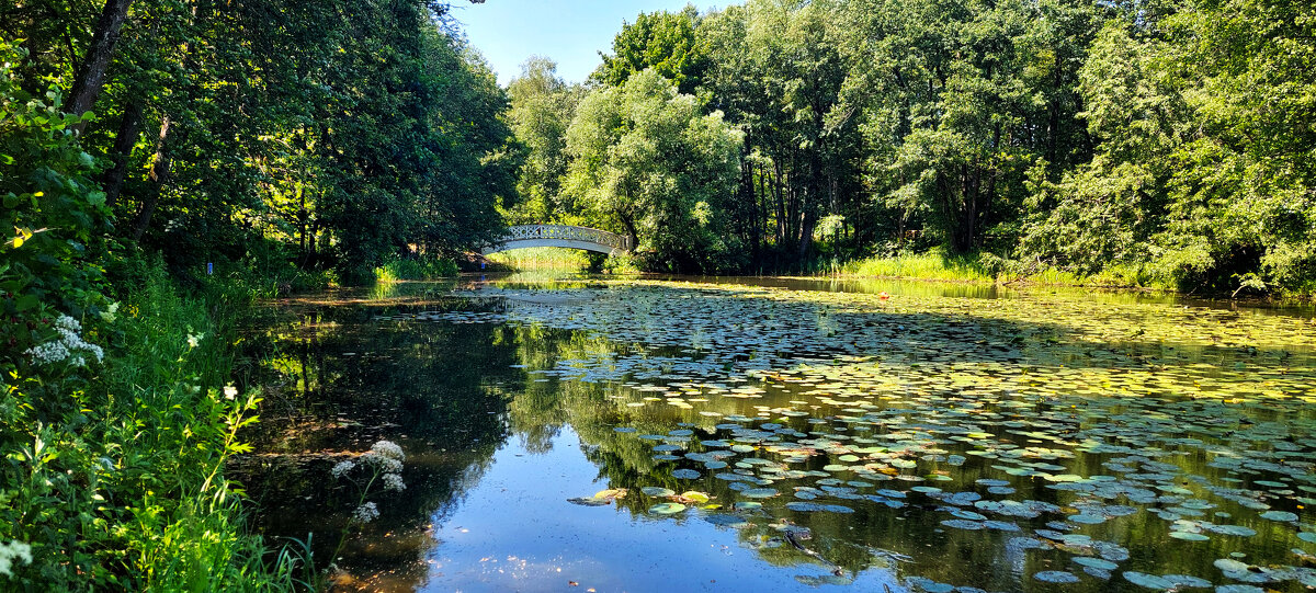 лето - ИРЭН@ .