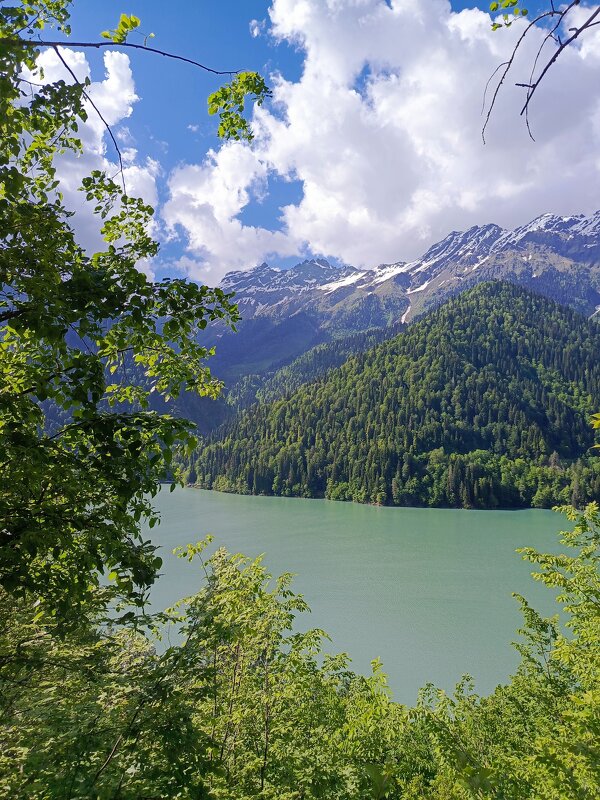 Озеро Рица - Татьяна Пальчикова