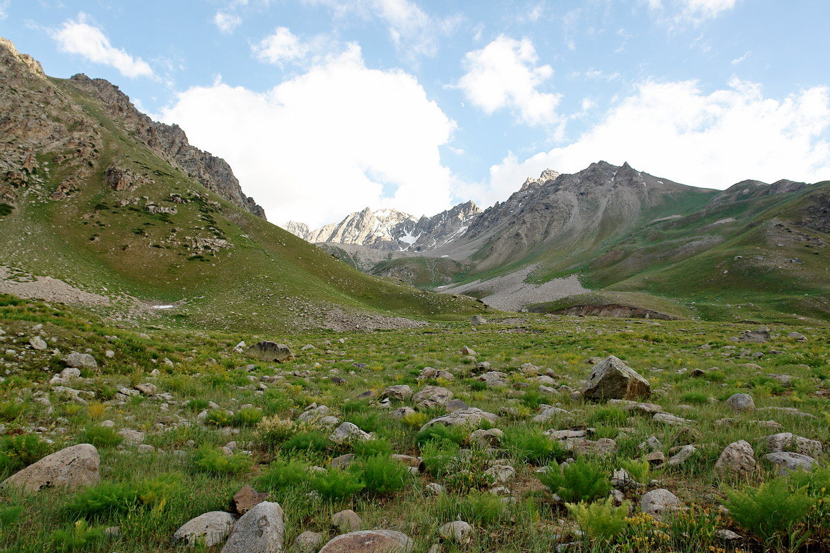 ПРИТОК ОЙГАИНГА. h- 2700м. - Виктор Осипчук ПРИТОК ОЙГАИНГА. h- 2700м. - Виктор Осипчук