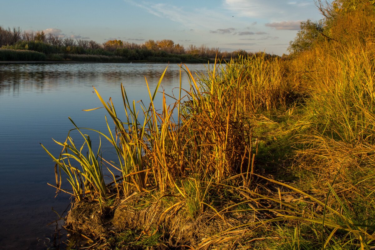 На закате - Владимир Жуков