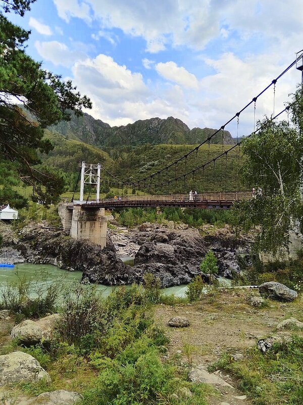 Ороктойский мост на Алтае . - Мила Бовкун