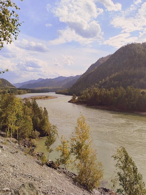 Река Катунь . Алтай . - Мила Бовкун