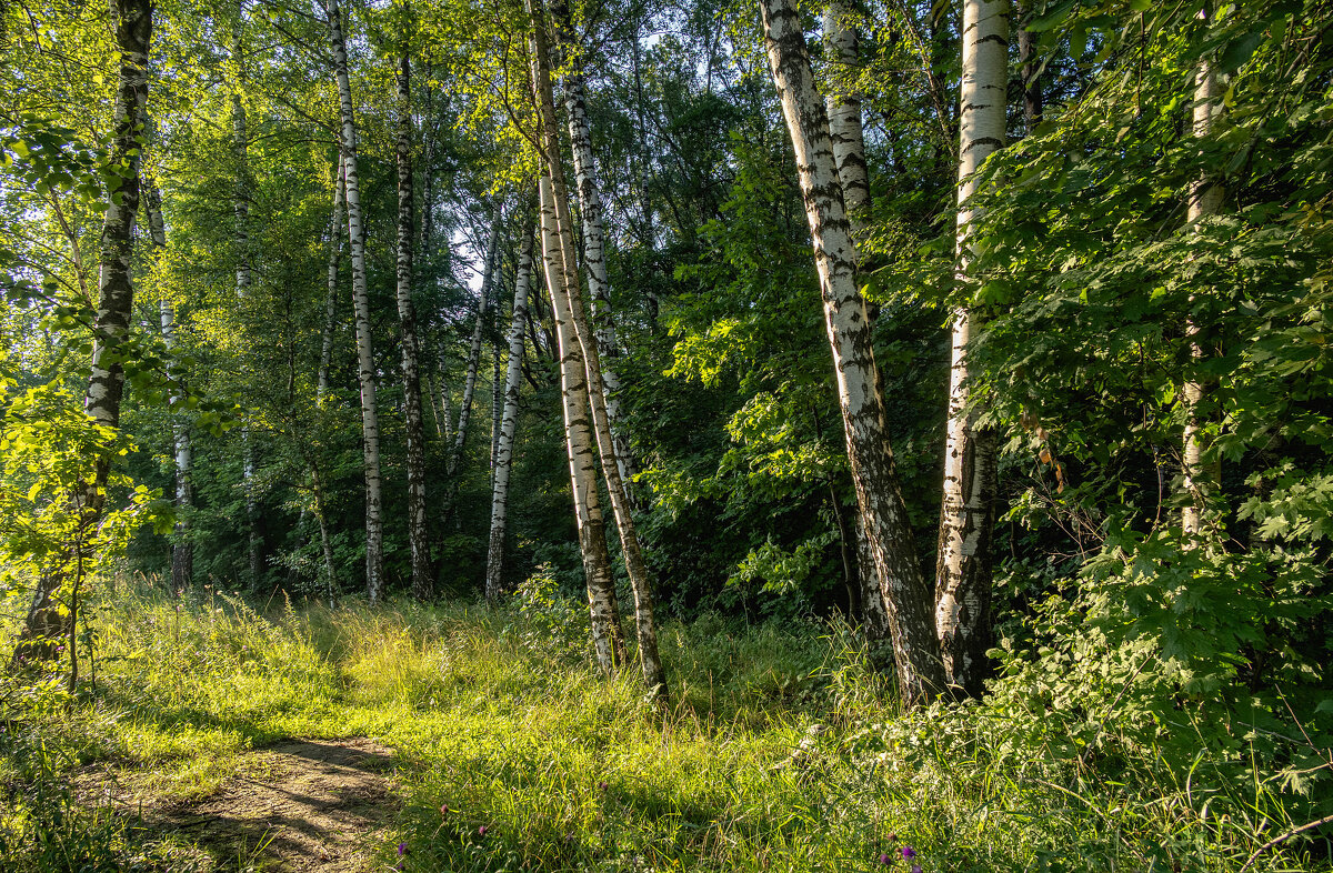 На склоне дня - Александр Орлов