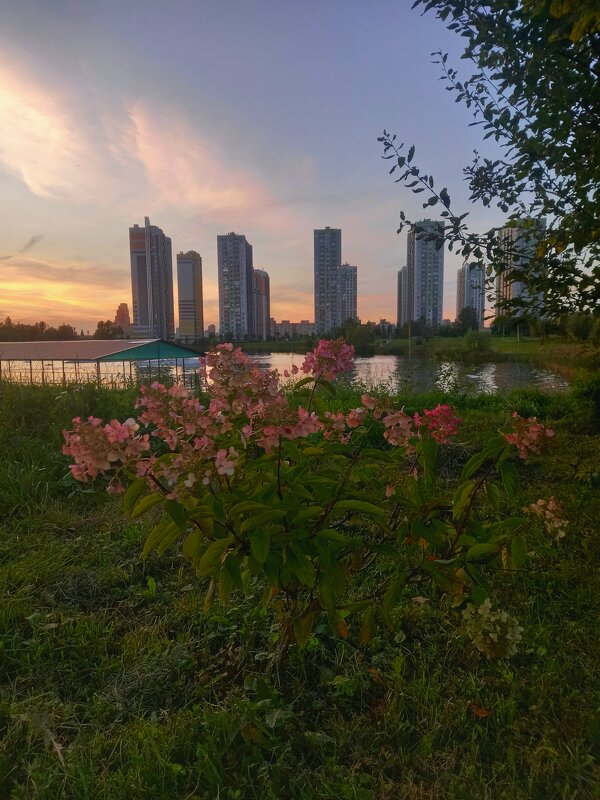 Закат - Сапсан 