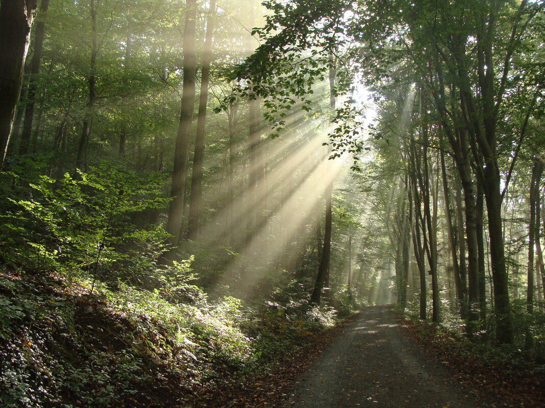 Луч солнца золотого - Lüdmila Bosova (infra-sound)