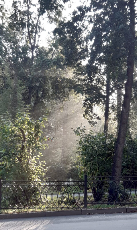 *** - Сергей Сергеев