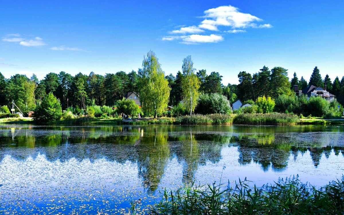 Осенний вечер в деревне. - Милешкин Владимир Алексеевич 