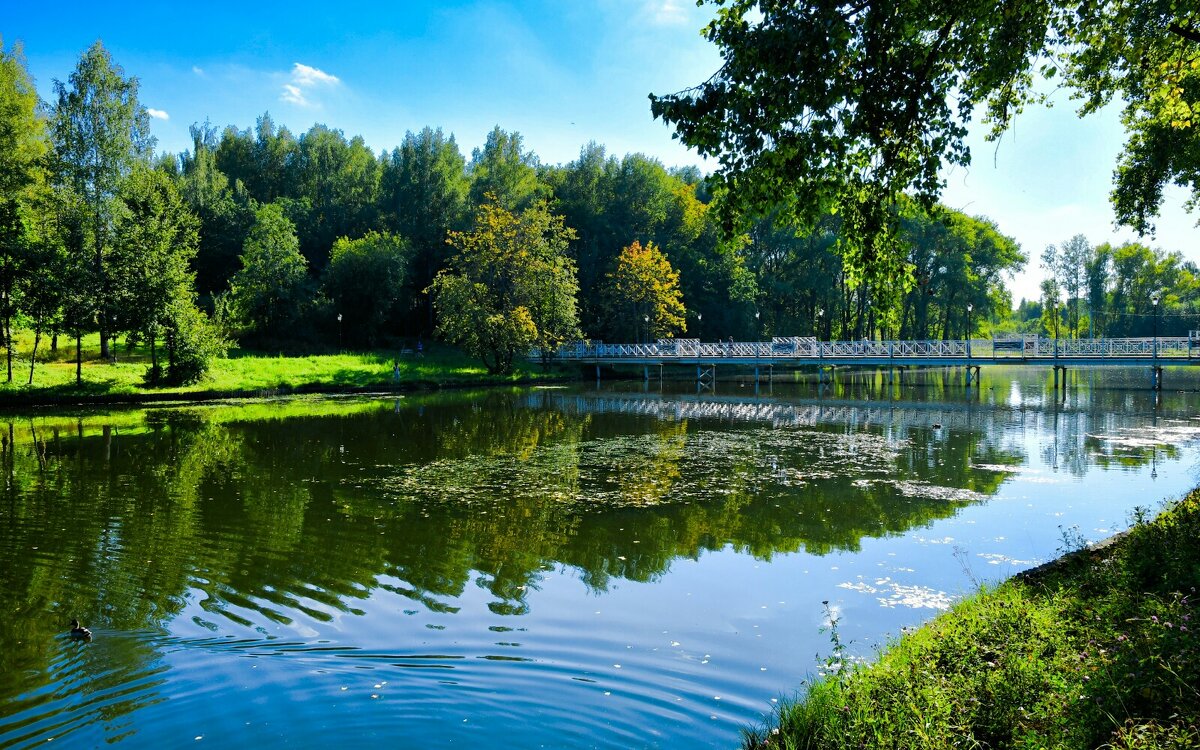 Осенний вечер в городском парке. - Милешкин Владимир Алексеевич 