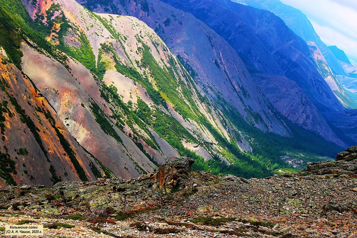 Колымские сопки - Александр Чашин
