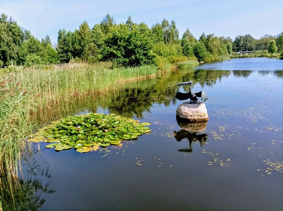 На пруду - Veera V