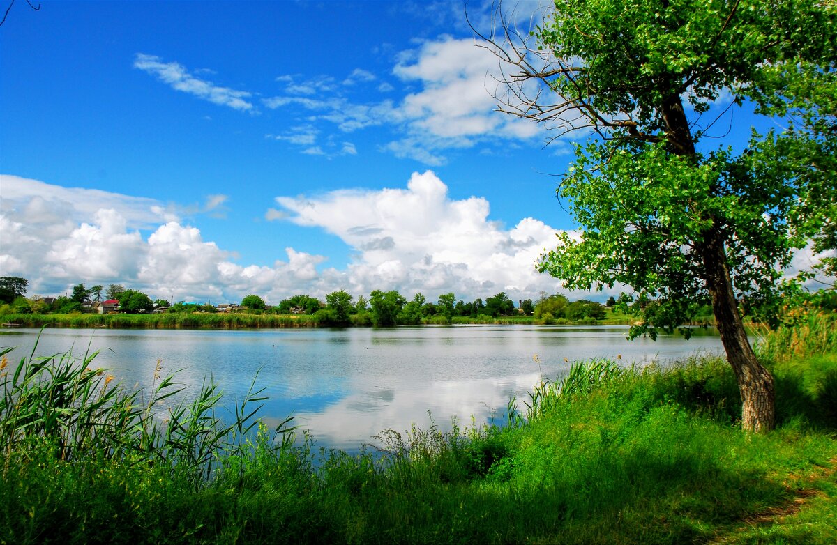 Яркий июль. - Владимир 