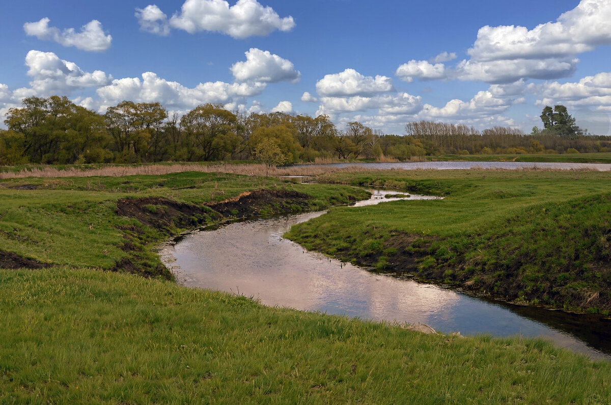 Реченька. - Анатолий Уткин Реченька. - Анатолий Уткин