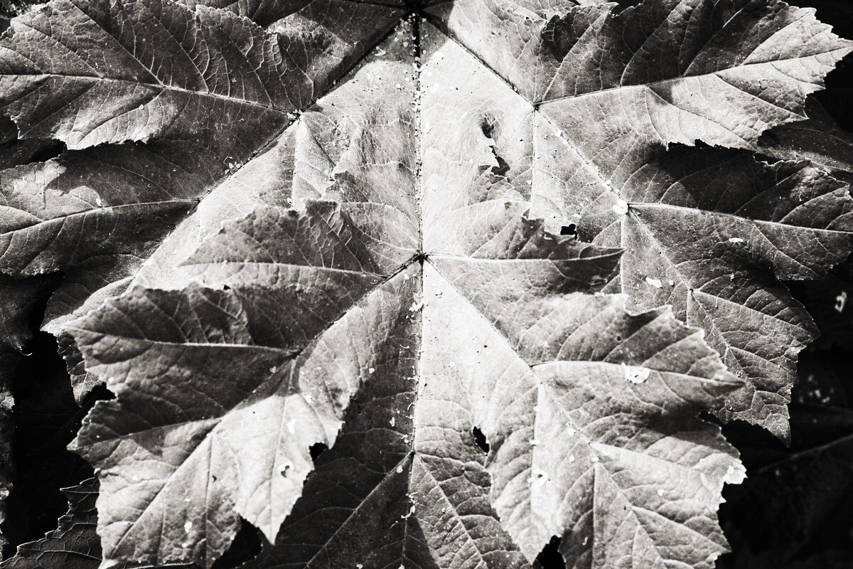 Назва. отсу. - Денис Безногов