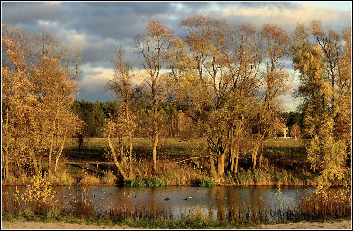 Осень золотая - Aleksandr Gal