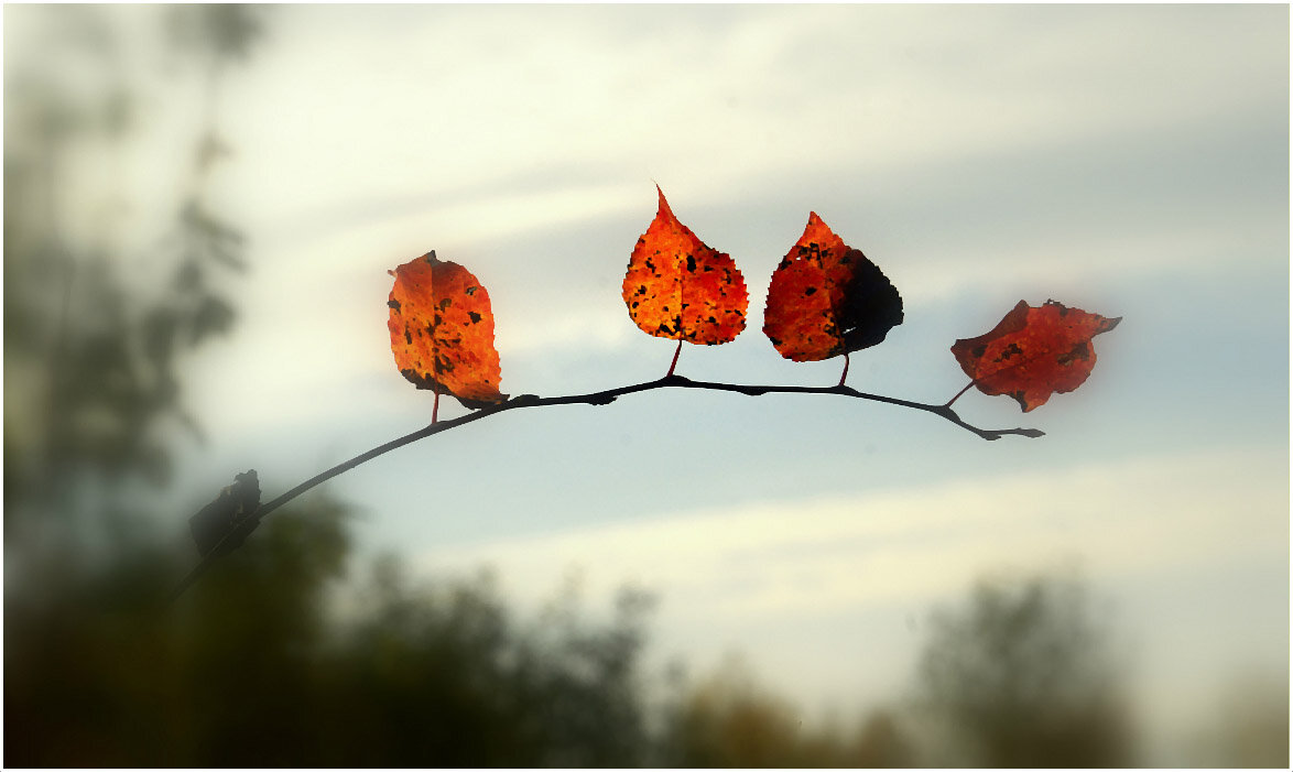 Гвардейцы кардинала... - Aleksandr Gal