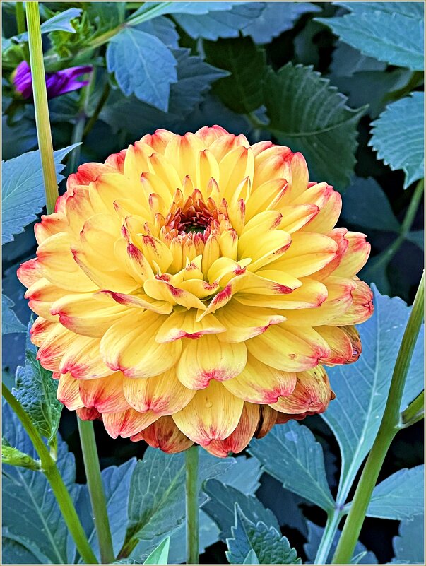 ****** - Валерия Комова ****** - Валерия Комова