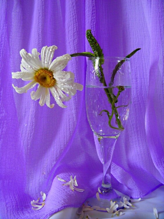 Взгрустнулось... - Галина Кузьмина