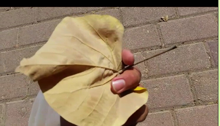 113 (60) - CLOSE WAYS ALL