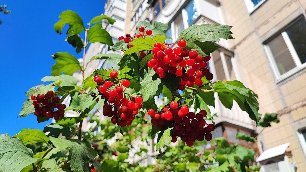 ,,, - Сергей Тимоновский