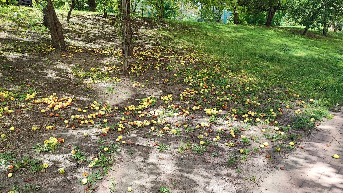 ,,, - Сергей Тимоновский