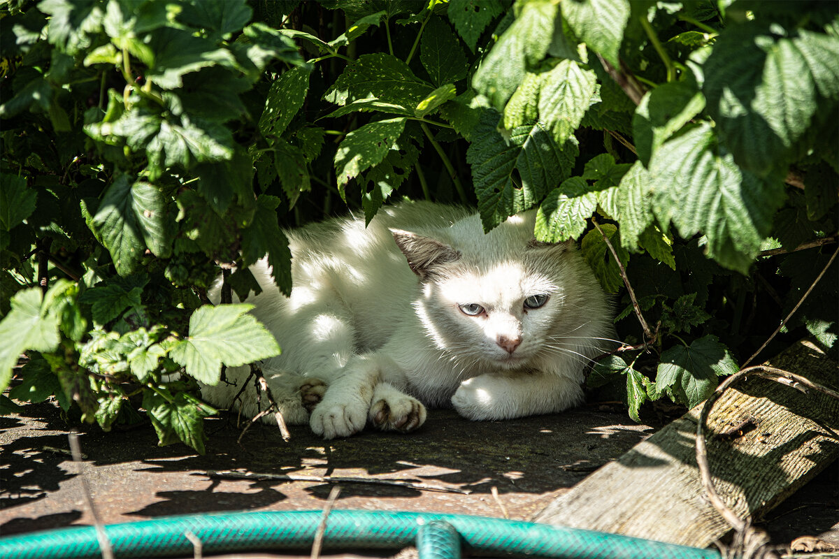 Нижние Пыски.. - Юрий Яньков