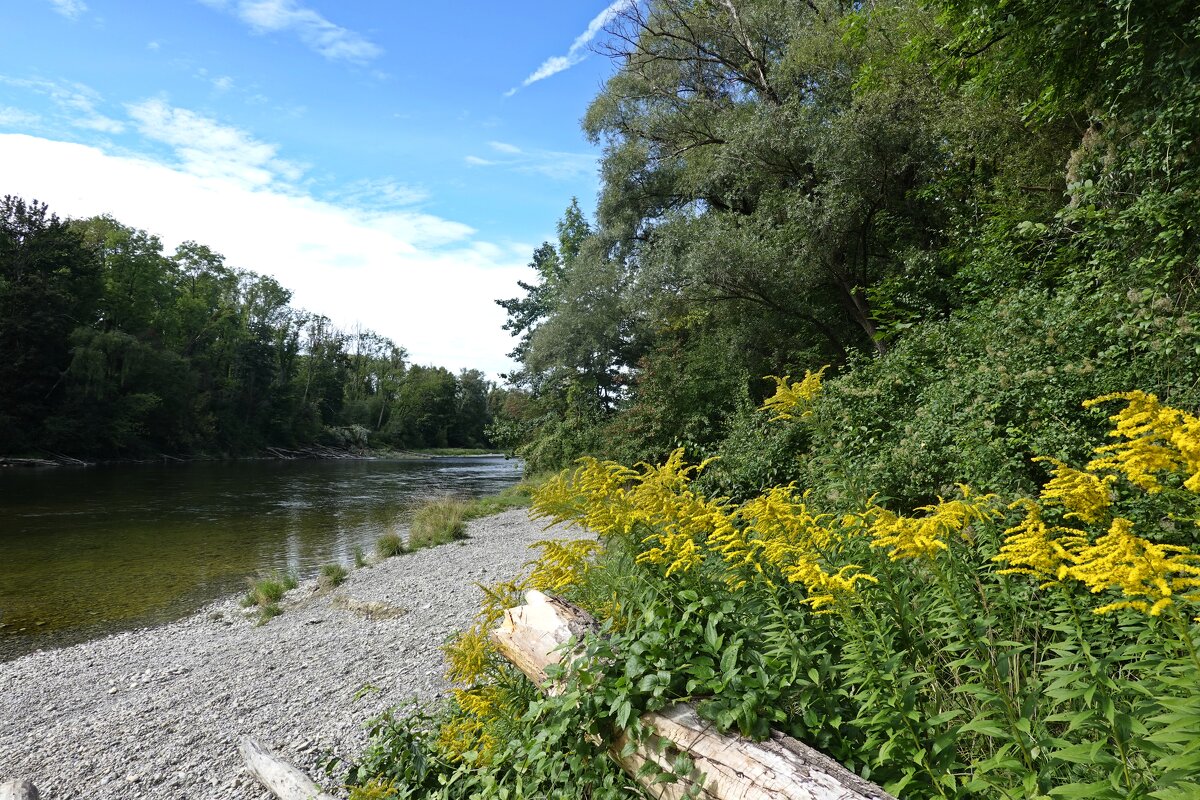 Еще не осень - так, едва-едва... - Галина Еще не осень - так, едва-едва... - Галина