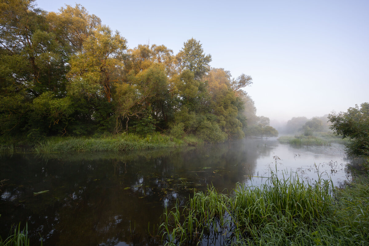 Утро на реке - Олег Дорошенко