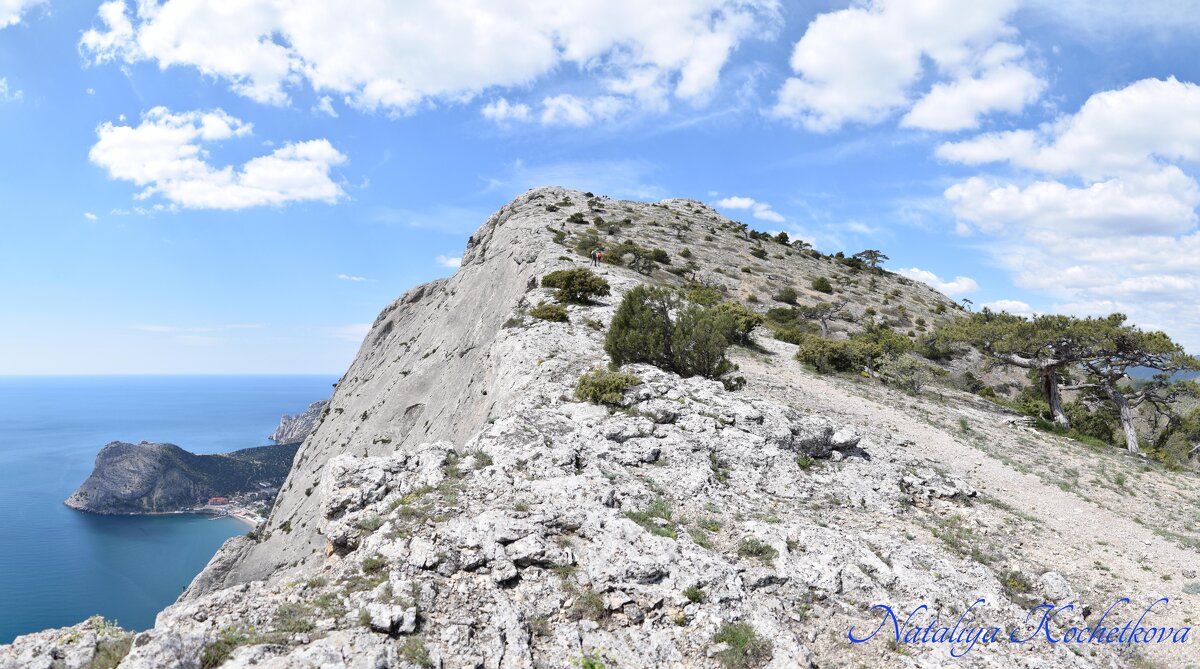 Природа Крыма - Amazing Cosmea