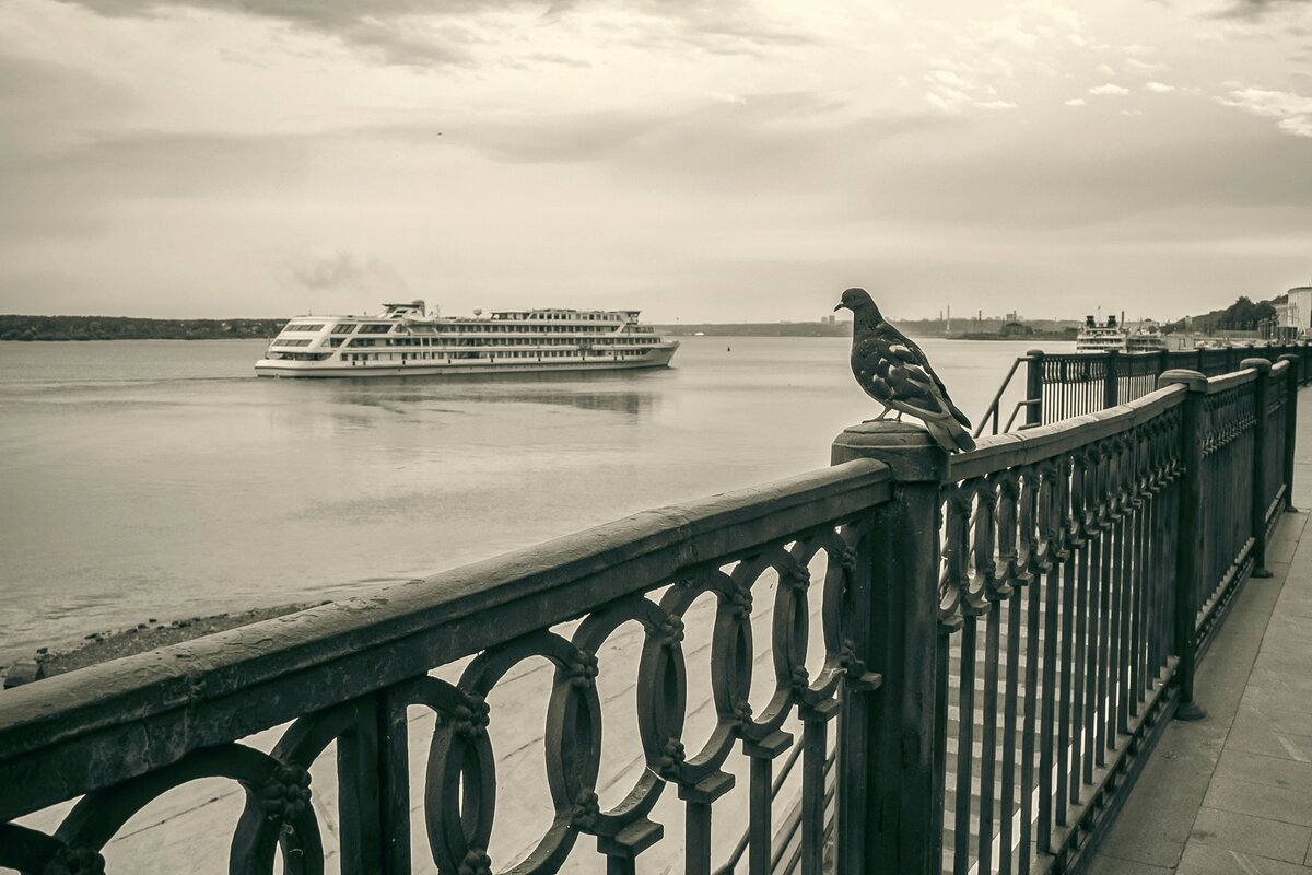 Встреча - Наталья Сафронова