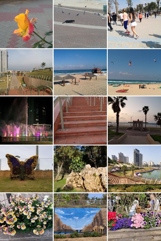 " - Светлана Хращевская