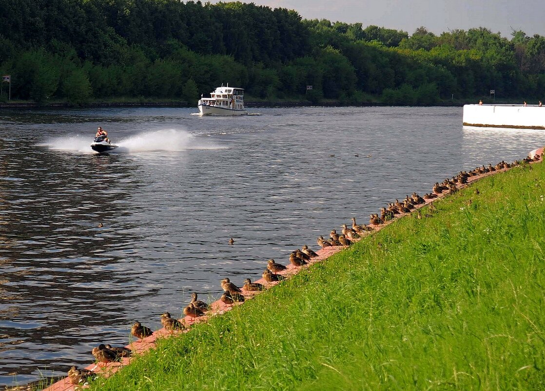 Гонки при полных трибунах - Александр Орлов
