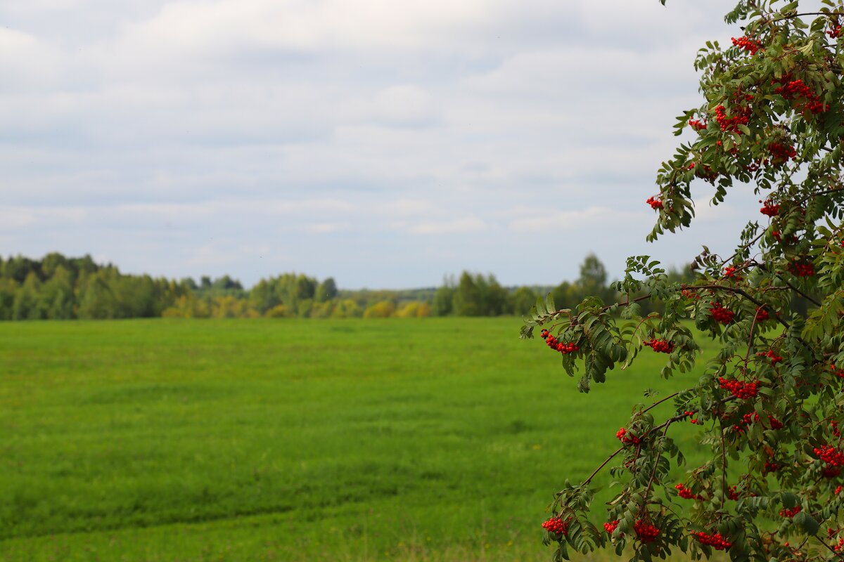 ... - Владимир иванов