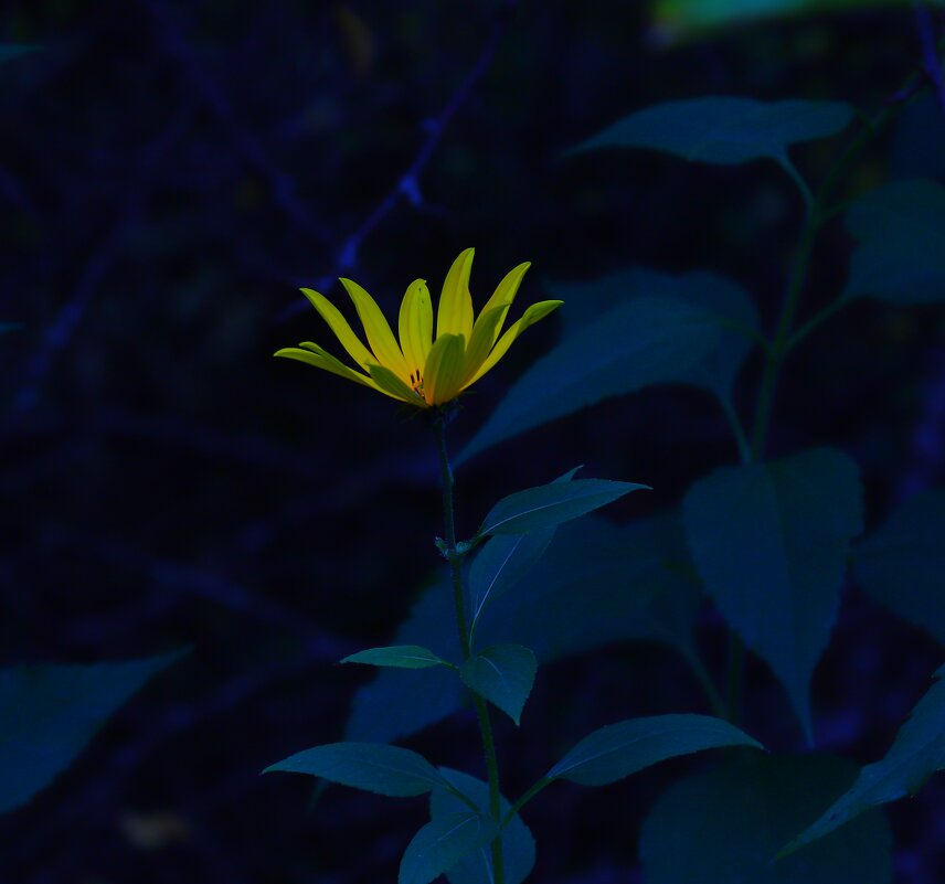 .... - Владимир иванов