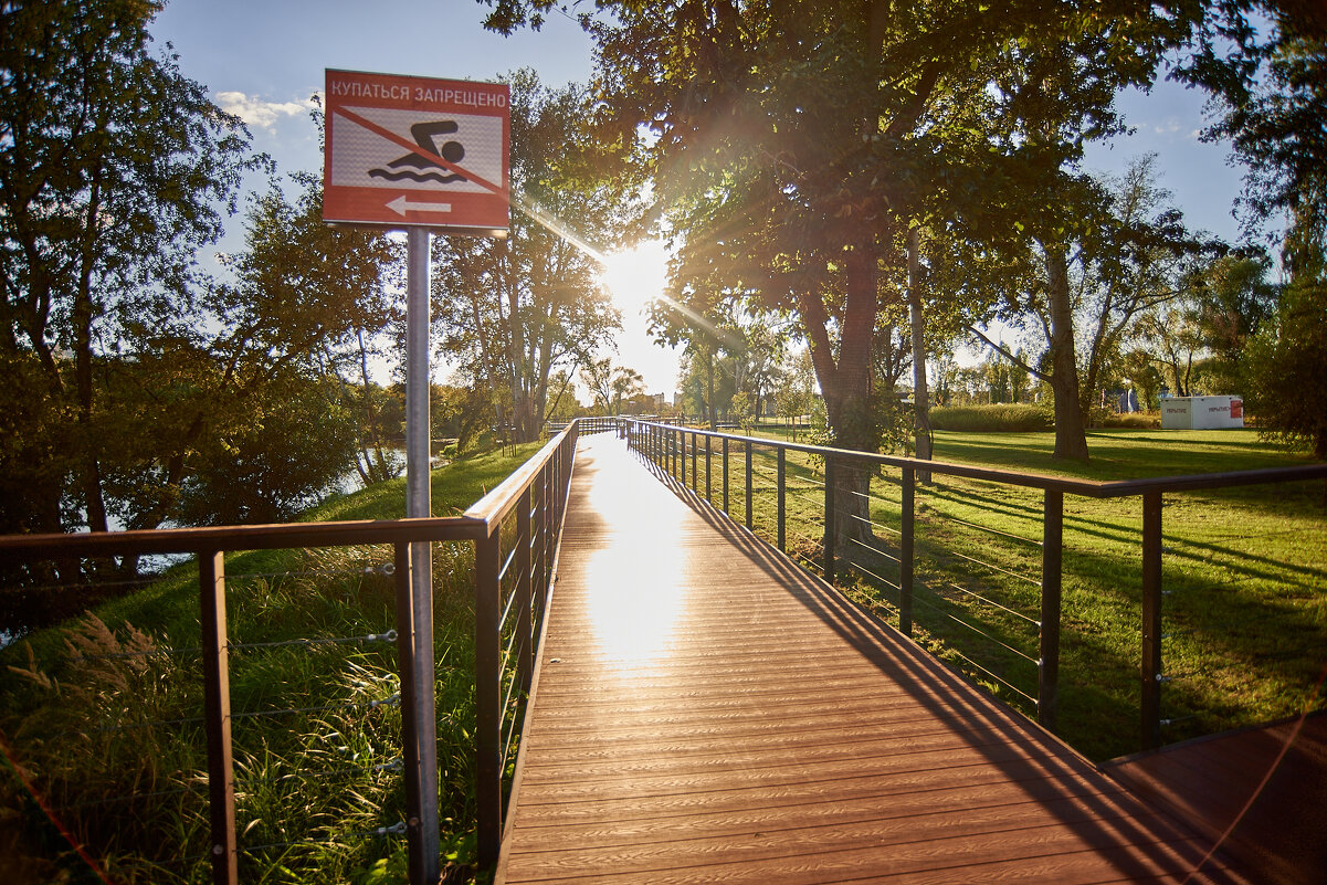 солнечный день - Александр Леонов